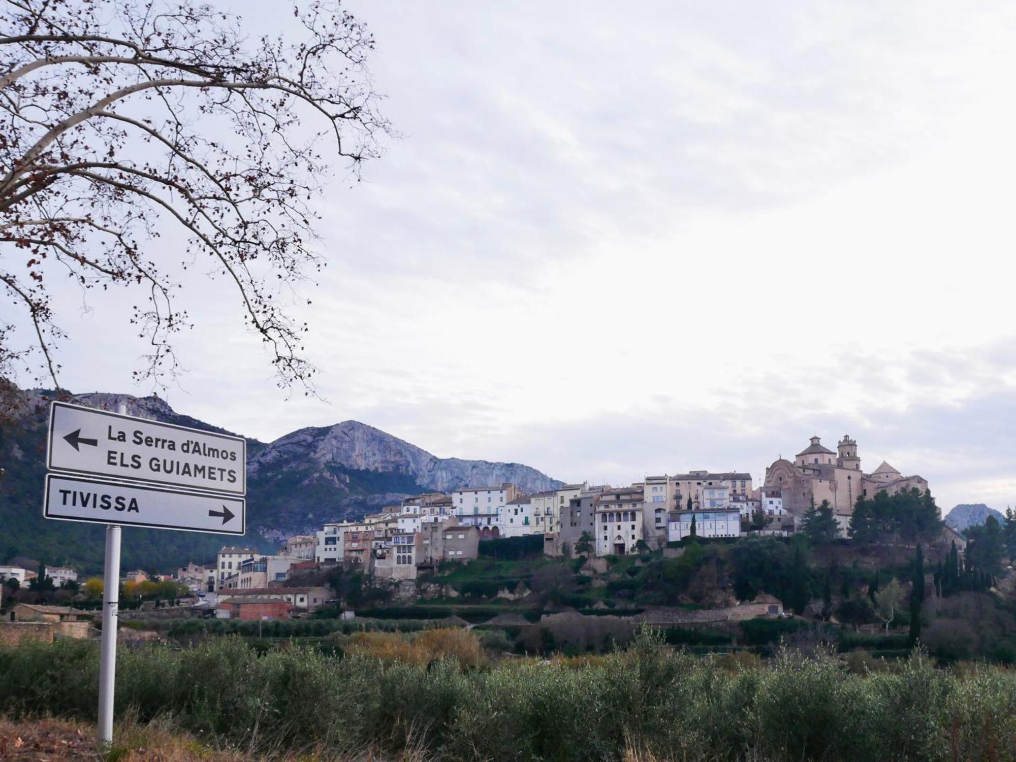 Apartament Rural Monetze Tivissa Bagian luar foto