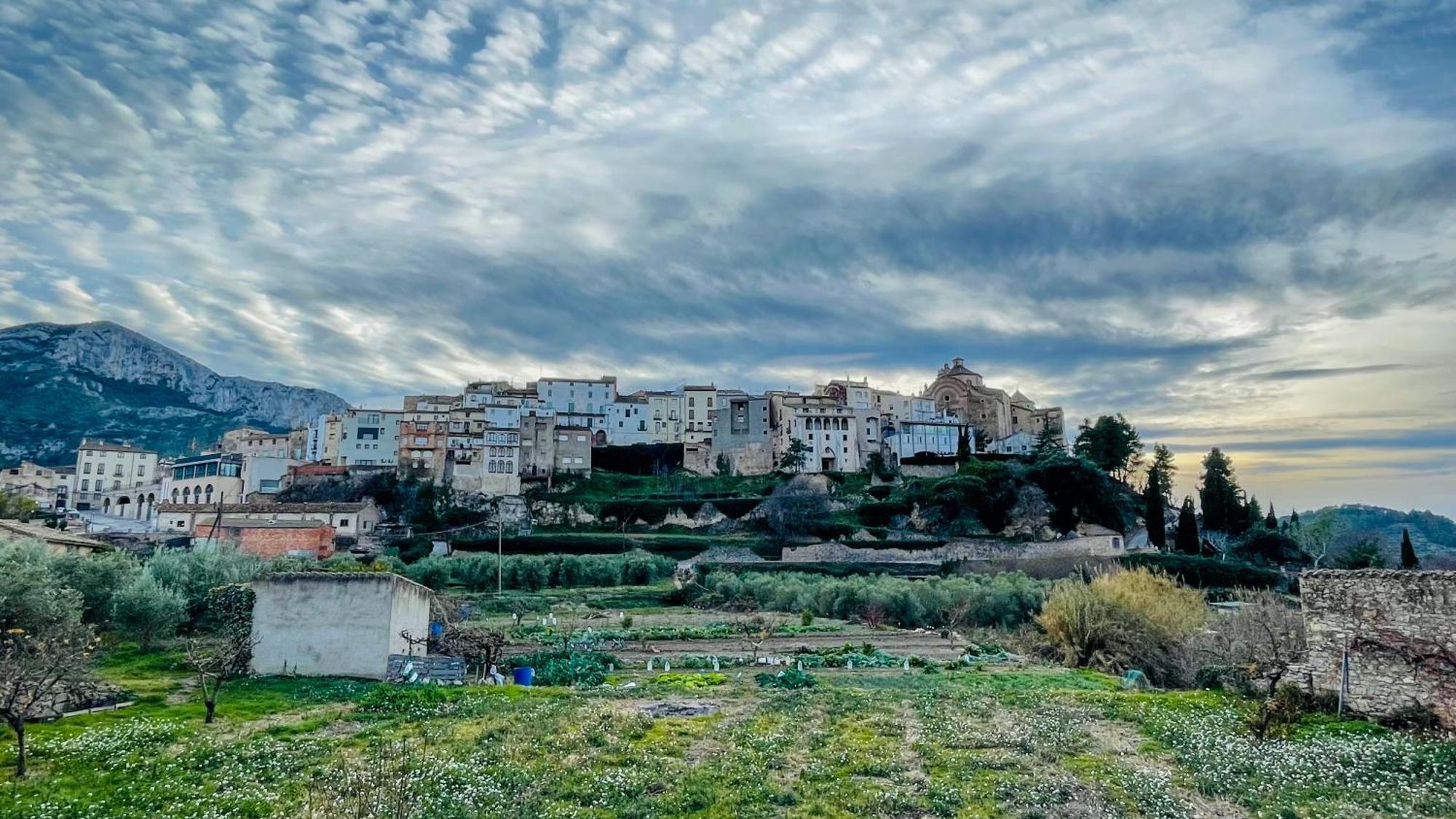 Apartament Rural Monetze Tivissa Bagian luar foto