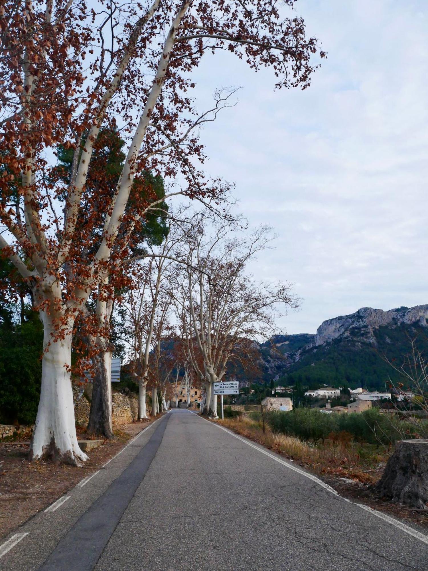 Apartament Rural Monetze Tivissa Bagian luar foto