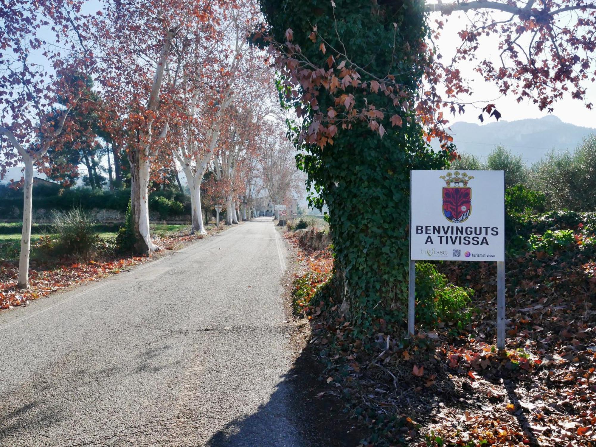 Apartament Rural Monetze Tivissa Bagian luar foto