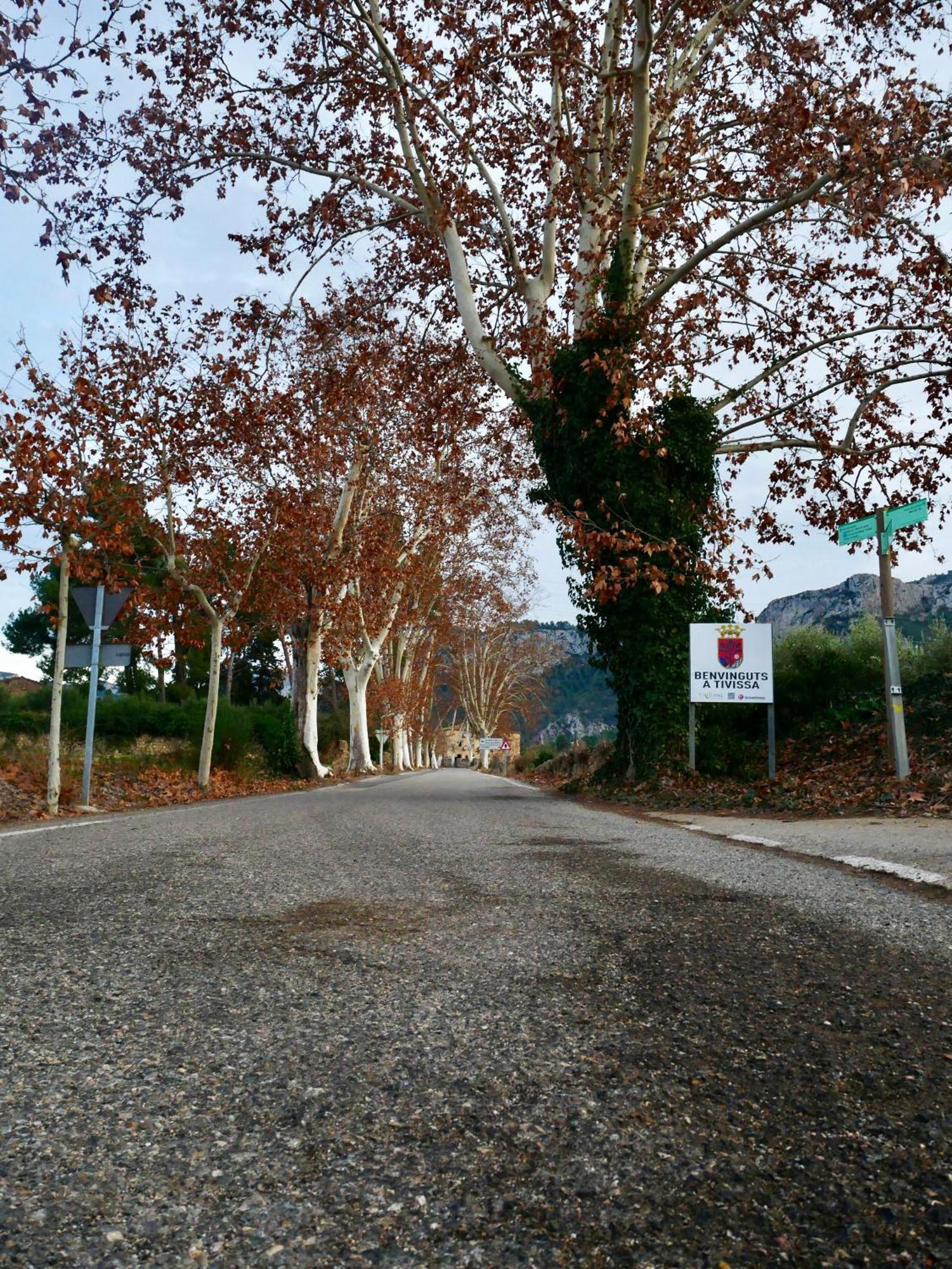 Apartament Rural Monetze Tivissa Bagian luar foto